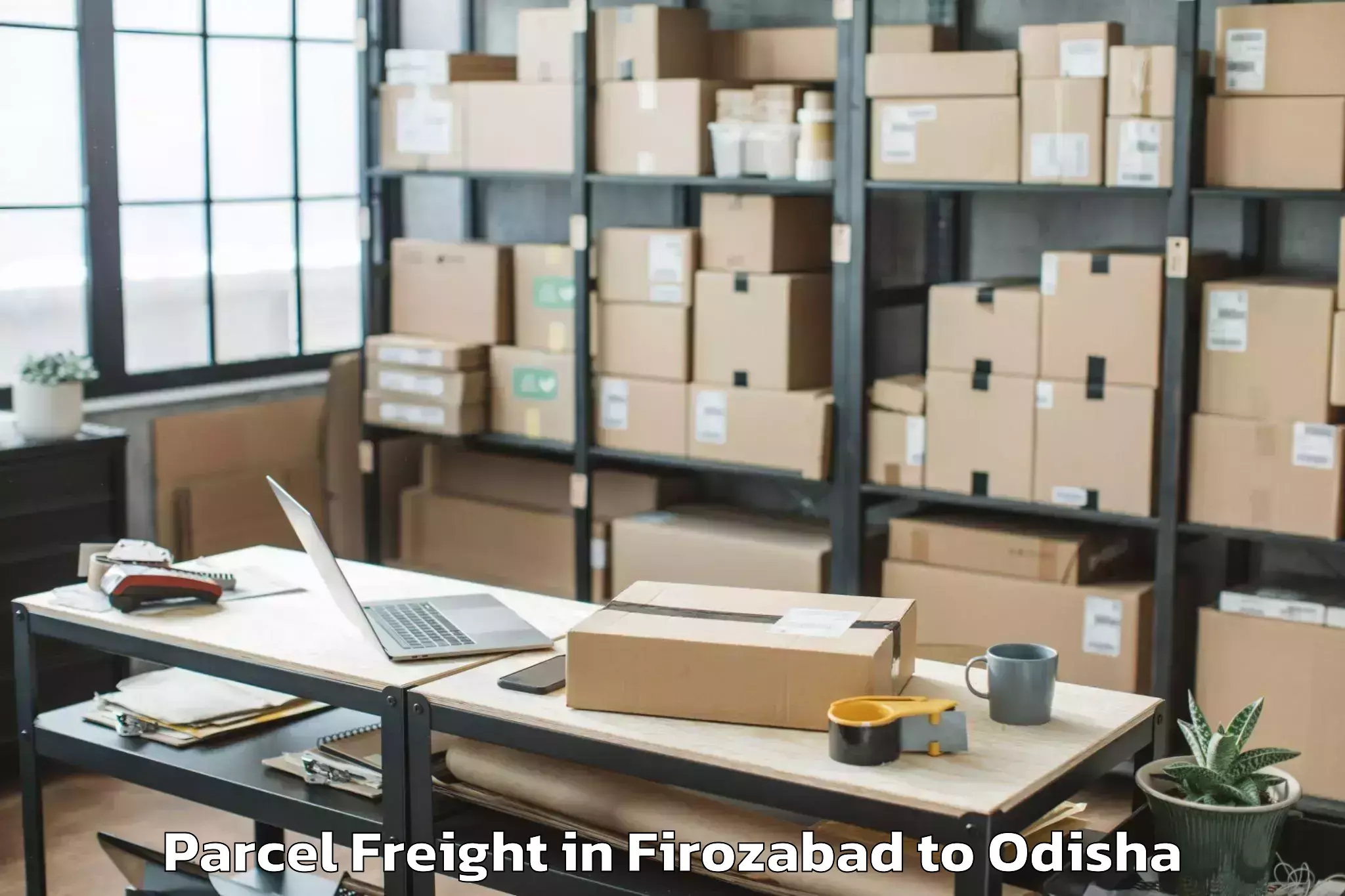 Professional Firozabad to Chikiti Parcel Freight